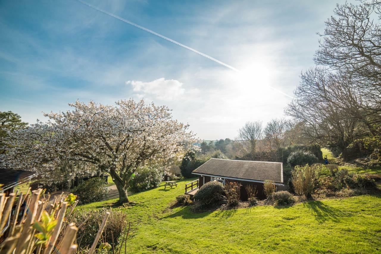 Timber Hill Self Catering Cedar Lodges Broad Haven Exterior foto
